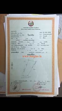 T00209